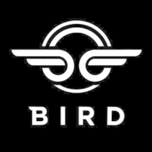 Bird logo